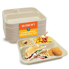 Eco Friendly Disposable Trays